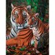 thumbnail image 1 of Diamond Painting (DE4653) 5D DIY Square Tiger Animal Punto de cruz (B934) 45x60cm Hugtrwg Para estrenar, 1 of 1