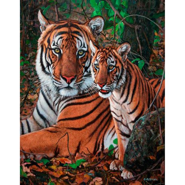 Diamond Painting (DE4653) 5D DIY Square Tiger Animal Punto de cruz (B934) 45x60cm Hugtrwg Para estrenar