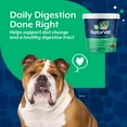 thumbnail image 6 of NaturVet Digestive Enzymes Supplements for Dogs, Bacon and Chicken Flavor, 70 Count, 6 of 10