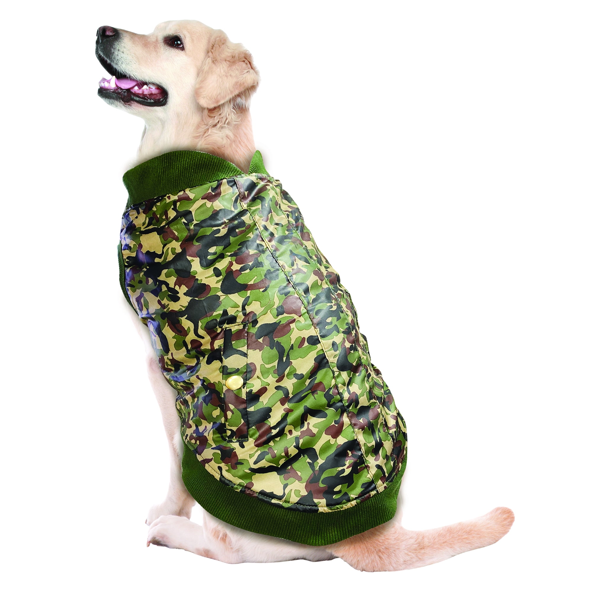 dog bomber jacket large