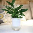 thumbnail image 3 of Cdar Flower Pot Plastic Self-watering Plant Glass For Home Garden Accessories, 3 of 6