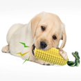 thumbnail image 4 of Juguetes masticables para perros - Palitos de maíz - Resistentes - Chirriantes - Para razas pequeñas y grandes, 4 of 5