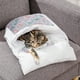 thumbnail image 2 of Mascota Gato Perro Dormir Cama Invierno Lavable Extraíble Antideslizante y, 2 of 7