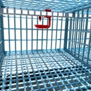 Quail Breeding Cage Indoor: 2 Layer Stackable Quail Coop, Easy Clean, Rust-Free, Easy Egg Collection (2024 Upgrades: Longer Waste Trays, Removable Middle Walls, Traditional Flooring) Cimuka