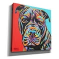 thumbnail image 2 of Epic Graffiti 'Canine Buddy III' by Carolee Vitaletti, Canvas Wall Art, 26"x26", 2 of 3