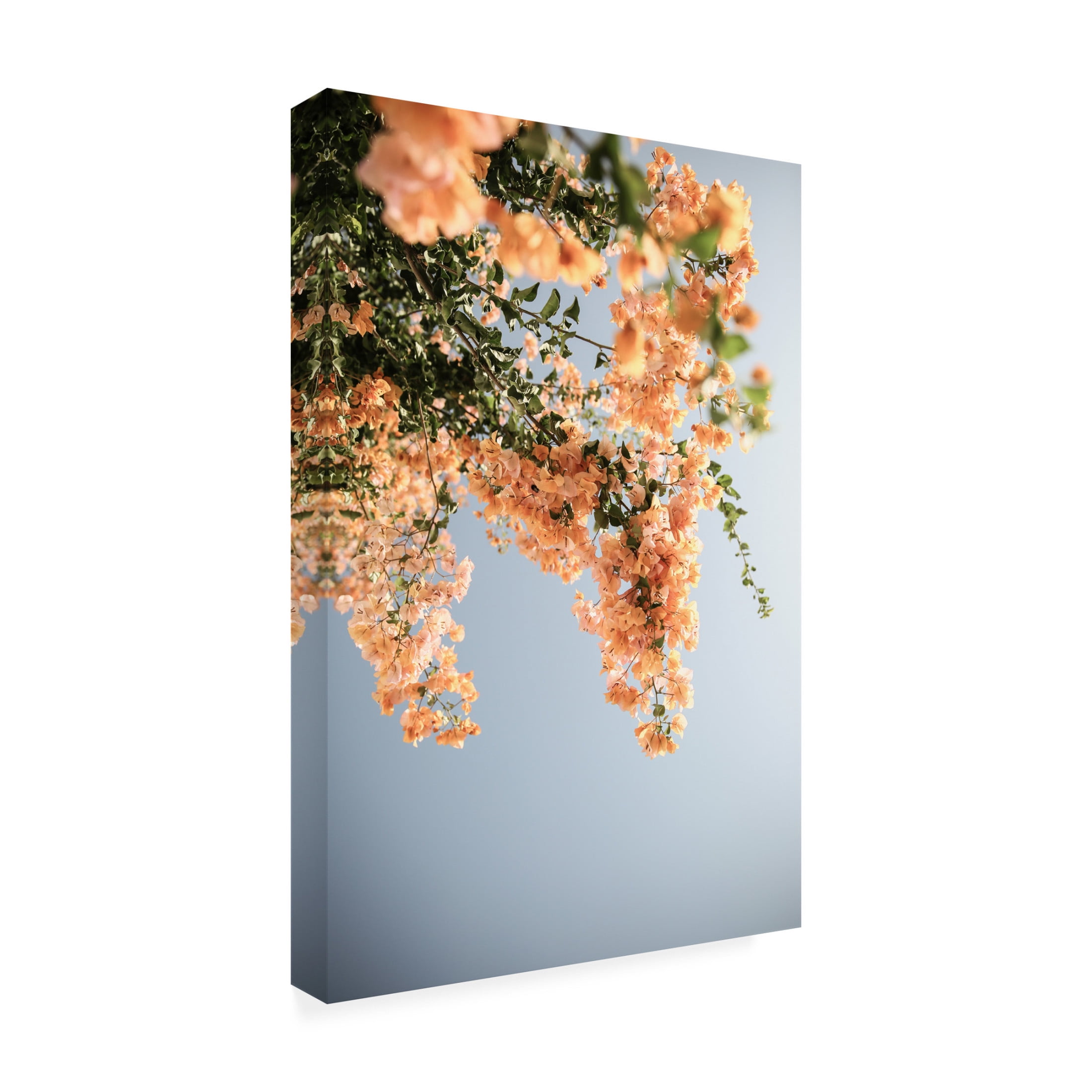 Trademark Fine Art Shot by Clint Assos Blooms Canvas Wall Art