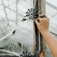 thumbnail image 7 of 6 Pack) Halloween Flocked Brown Spiders Decorations Realistic Hairy Crawly Creepy Haunted House Props Indoor Outdoor Halloween Party Décor Spooky Holiday, 7 of 7