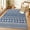 Blue, variant on Takywep 5x7ft White Area Rug, Ultra Soft, Anti-Slip, Washable, Foldable, Non-Shedding, Low Pile, Modern Carpet for Living Room, Bedroom, Dining, Entryway, Pet Friendly, Machine Clean