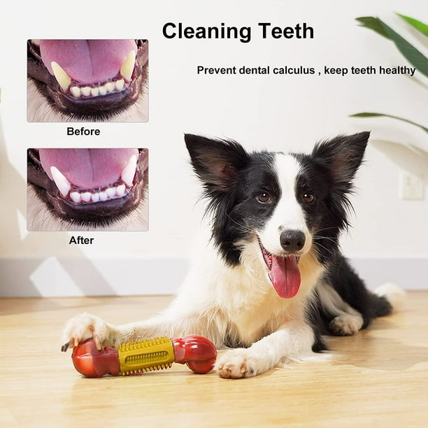 Dental toys top for dogs