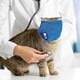 thumbnail image 5 of Cat Muzzle Breathable Kitten Mesh Muzzles Breathable Mesh Muzzles for Preventing Cats from Biting Scratching, 5 of 5
