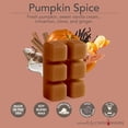thumbnail image 3 of Candle Warmers Etc. 2.5 oz Classic Fragrance Wax Melt, Pumpkin Spice, 3 of 3