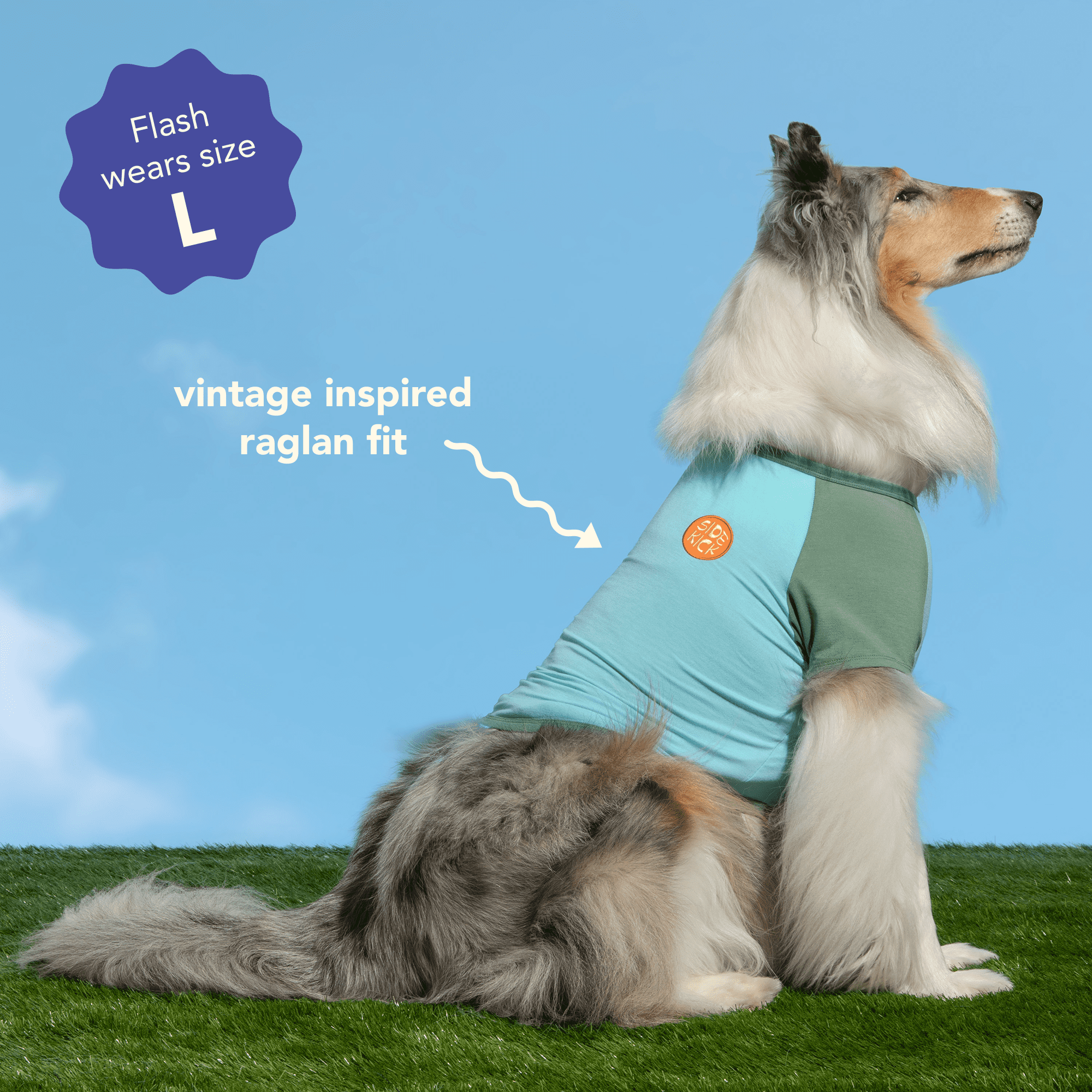 Oodles Green Side Kick Spring Raglan Dog T-Shirt, Medium