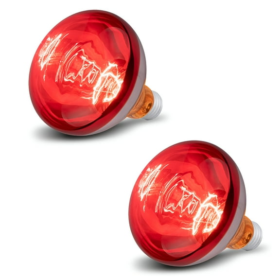 HIBIBUD 2 Pack 250W Infrared Heat Lamp Bulbs for Chickens,R40 Incandescent Heat Bulbs for Brooder Heater,Bathroom,Food