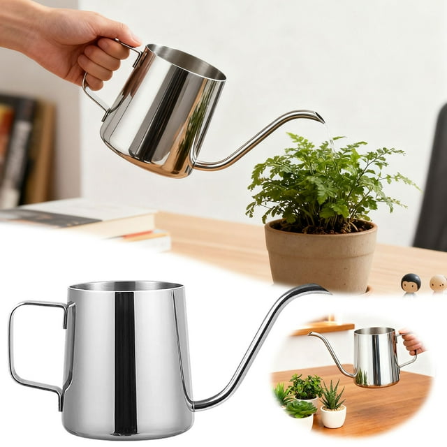 Arrosoir à Long Bec en Acier Inoxydable Moderne pour Jardin Intérieur, Soin des Succulentes et Bonsaïs