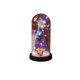 thumbnail image 2 of Luz nocturna de árbol de Navidad brillante con domo de cristal - Decoración y regalo navideño de escritorio, 2 of 6