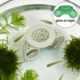 thumbnail image 5 of FTsdfkl Floating Betta Hide & Shrimp Cave Aquarium Hammock, Feeding Ring & Resting Spot for Betta Fish, Shrimp, Ideal For Aquariums And Comfortable Hideouts Shelter(Flourescence Function), 5 of 5