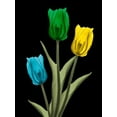 thumbnail image 4 of Albert Koetsier 15x18 Black Modern Wood Framed Wall Art Titled - Jeweled Tulip Trio 4, 4 of 6