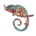 thumbnail image 1 of Broche, broche de diseño de moda, broche de anole para mujer, broche, el mejor en su clase, 1 of 14