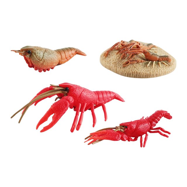 Figuras de animales Zulema Juguete educativo preescolar Estilo B