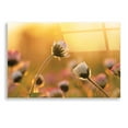 thumbnail image 1 of Epic Art 'Daisies' by Martin Podt, Acrylic Glass Wall Art, 24"x16", 1 of 3