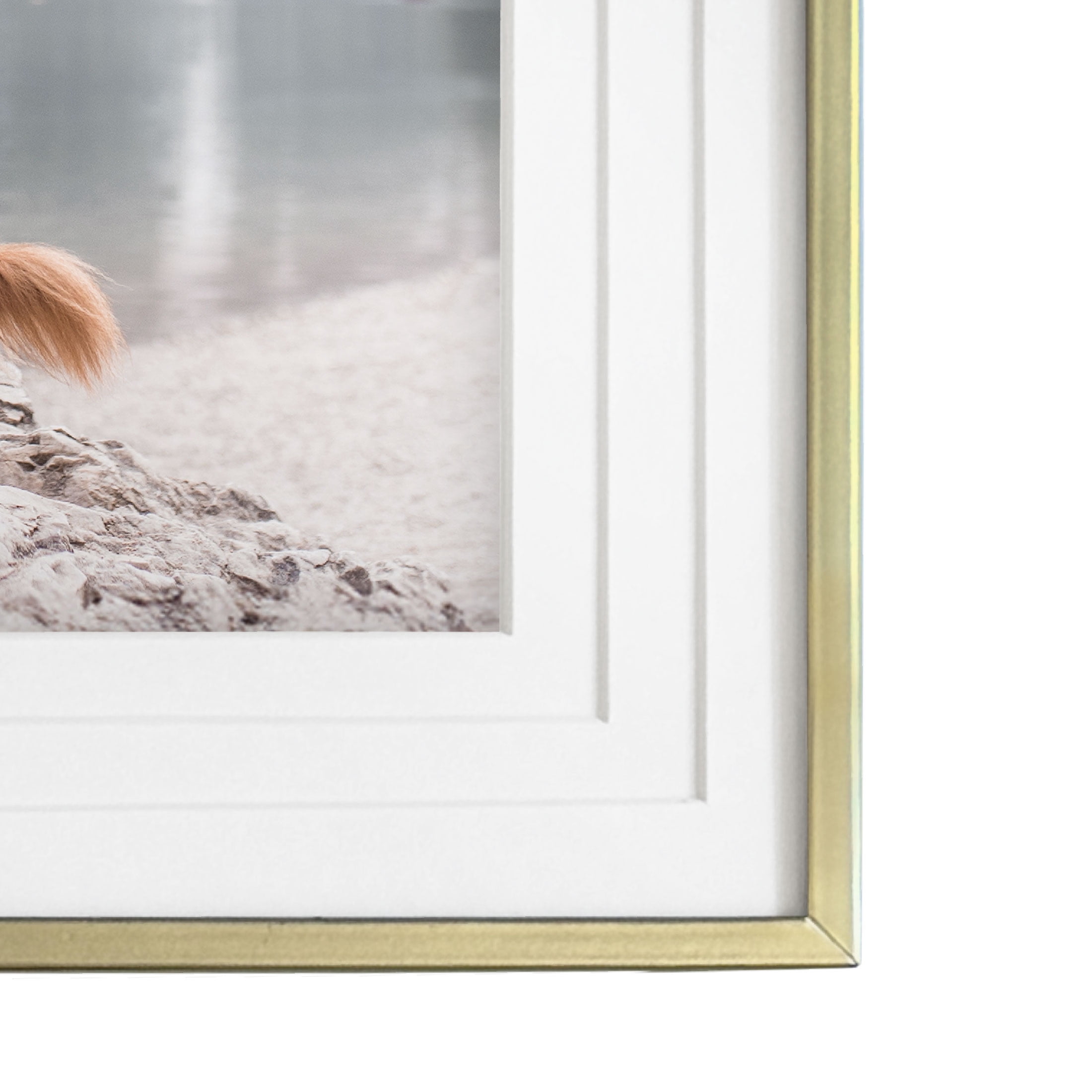 Gold Metal Frame 12x10 with 8x10 Triple White Mat