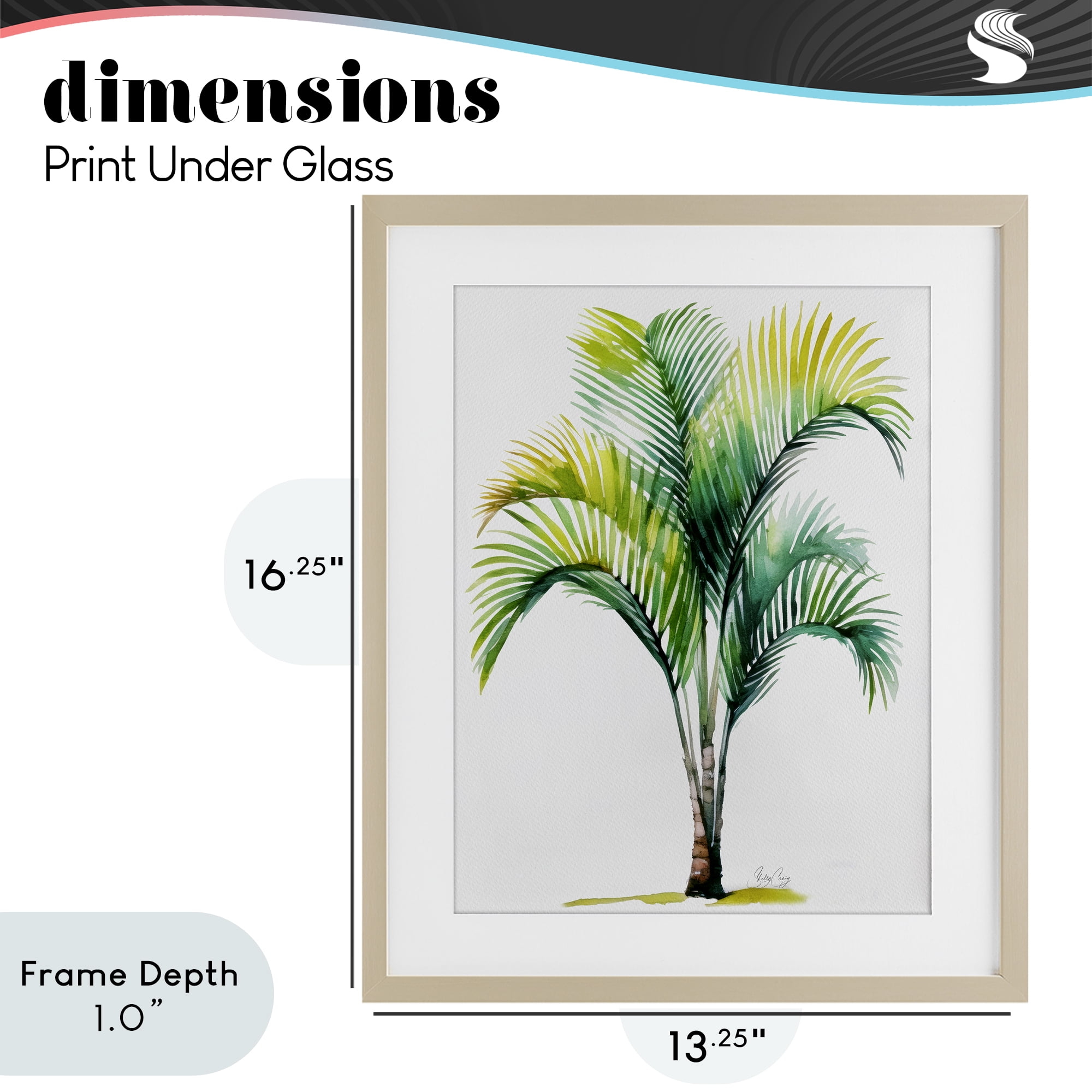 Stupell Industries Coastal Canopy Palm Tree Birch Framed Print Under Glass, design by Shelly Craig