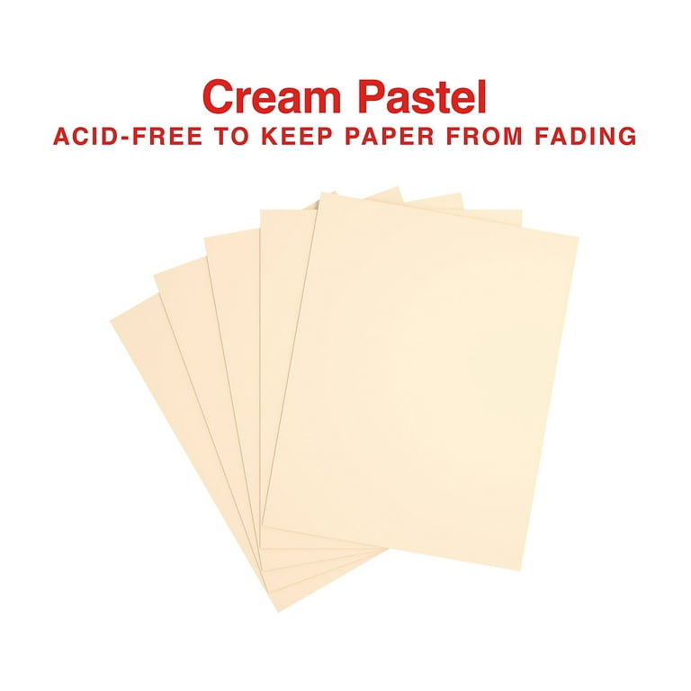 8.5 X 11 Pastel Color Coded Page Protectors 