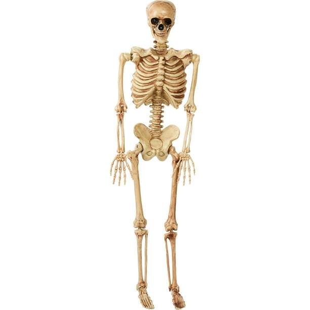 5 feet 5' Poseable Lifesize Plastic Skeleton Halloween Prop Decoration