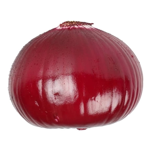 Cebolla Morada por Kilo