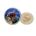 thumbnail image 1 of Océan Méduse Science Nature Image Ronde Métal Broche d'Or Clip, 1 of 3