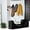 Black, variant on Dual-Pack Black Vertical Hat Display Rack - Wall-Mounted Baseball Cap Holder Organizer Fitted Caps Storage Solution