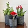 thumbnail image 6 of WHW Whole House Worlds Rustic Round Planters, Set of 3, Corrugated Bellies, 8.75, 7.75, and 6.75, Galvanized Grey Patina Over Iron, 6 of 11