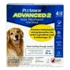 PetArmor Advanced 2 Flea Treatment for Extra Large Dogs, 4 Treatments