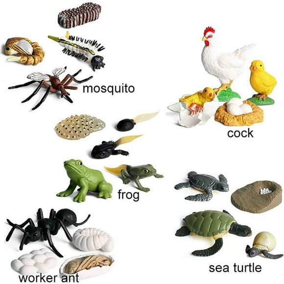 Figuras de acción de PVC para niños, modelos de animales de simulación, minifiguras de gallo, hormiga, rana, tortuga, mosquito, ciclo de crecimiento
