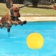 thumbnail image 4 of Juguete de pelota para perros, juguete masticable portátil y duradero de EVA amarillo para perros, juguete de pelota para perros de primera línea, 4 of 10