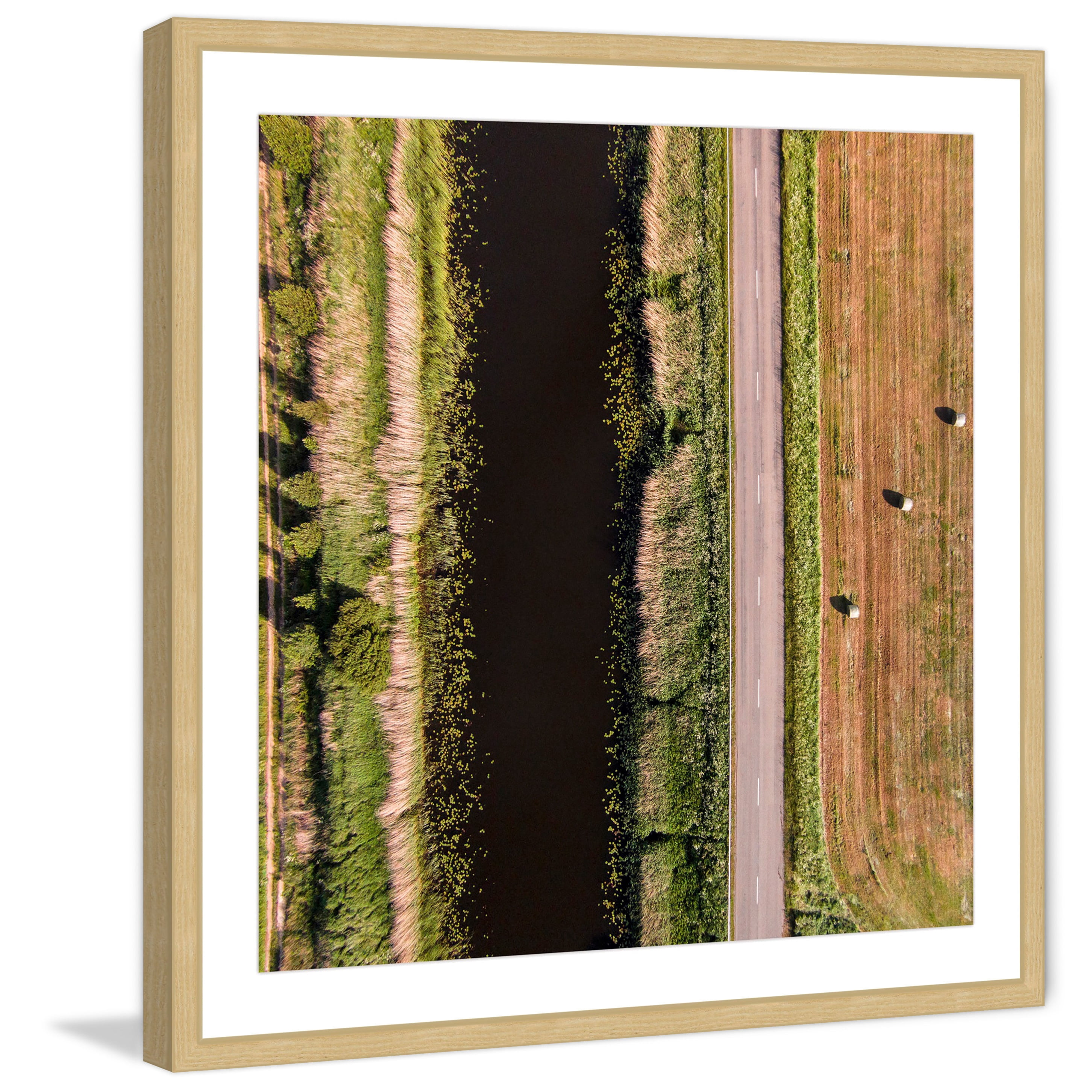 "Secret Between the Rows" by Karolis Janulis Framed Painting Art Print