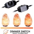 OHLGT Himalayan Salt Lamp Cord Replacement with Dimmer Switch(2Pack