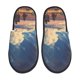 thumbnail image 1 of Balery Western Desert Cloud Cowboy Pantuflas de Casa de Felpa Silenciosas con Diseño Estampado, Zapatillas Cómodas Antideslizantes de Algodón para Interior-Large, 1 of 8