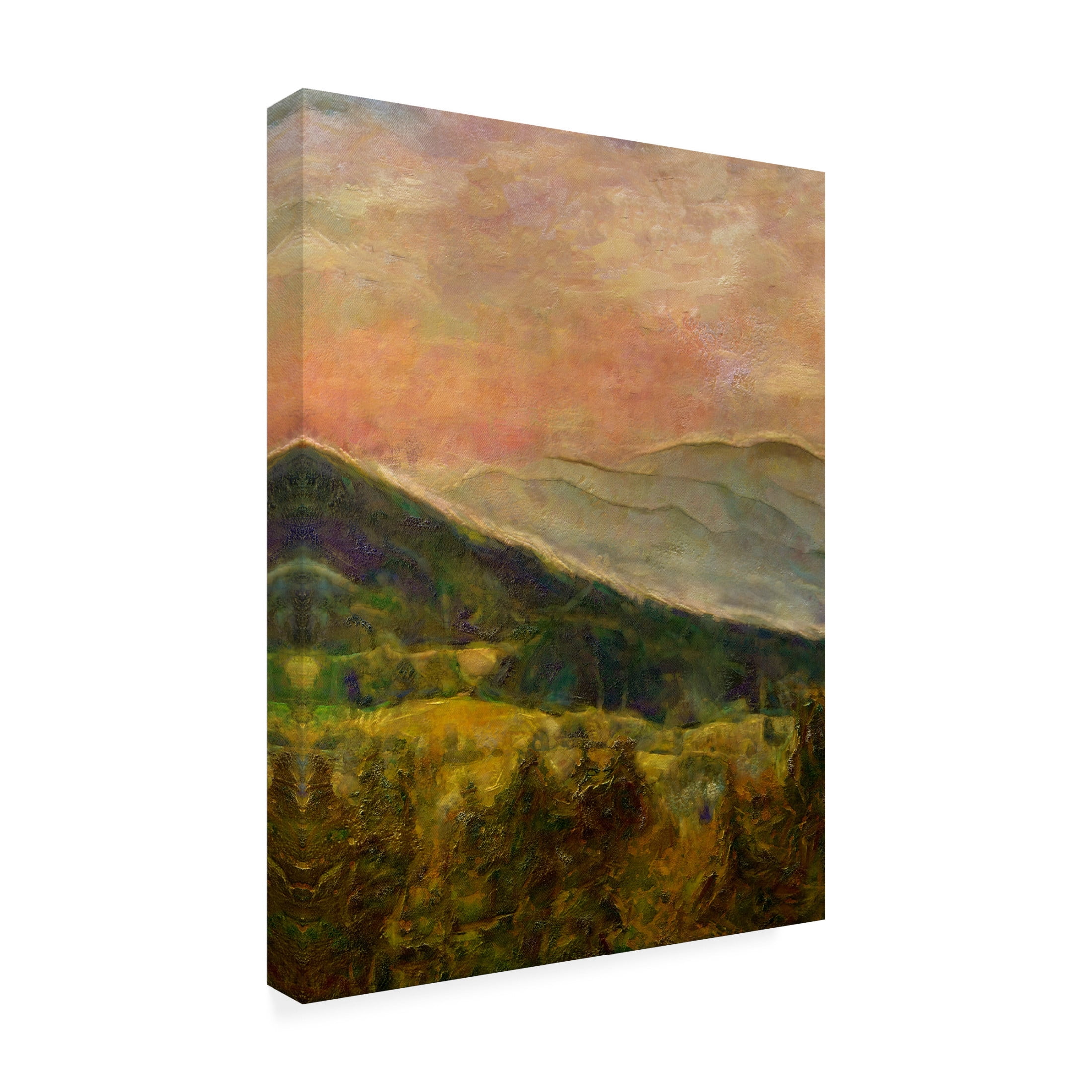 Trademark Fine Art Alonzo Saunders  Into the Valley I Canvas Wall Art