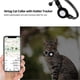 thumbnail image 4 of Airtag Cat Collar, Tracking Collar with Safety Buckle and Bell, with Apple Airtag Holder, 4 of 5