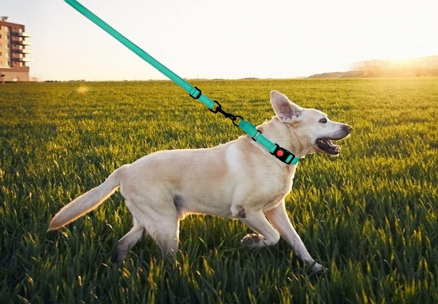 Solennerer Dog Collar Dog Leash Sets Heavy Duty Pet Leash Lead Rope for Small Medium Large Dogs Walking Running Training