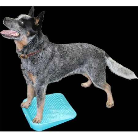 FitPAWS PFPERPAQ00 Dog Training Ramp, Aqua