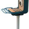 thumbnail image 4 of Comedero para pájaros Perch Extender Bird Buddy Blue para exteriores, 4 of 7