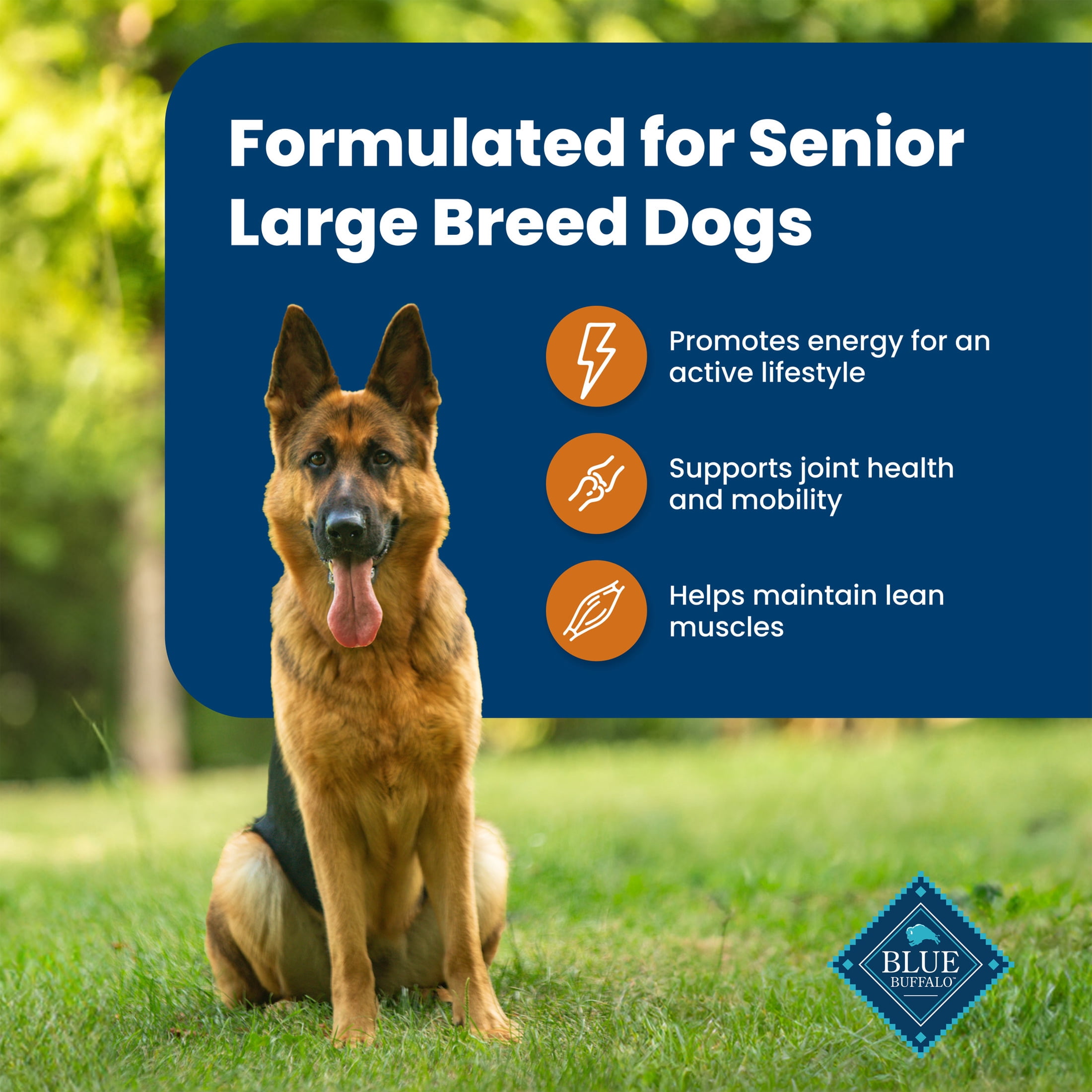 Blue Buffalo Life Protection Formula Large Breed Senior Dog Food, Chicken & Rice, 34 lbs.