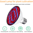 thumbnail image 2 of Lámpara LED para plantas, 220 V, luz de relleno para el crecimiento de plántulas, E27, luz roja y azul, 126 lámparas, 200 lámparas, bombilla para el crecimiento de plantas, 2 of 4