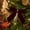 C, variant on AURIGATE Christmas Velvet Ribbon Bow Christmas Gift DIY Christmas Tree Party Decoration Bow