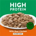 thumbnail image 2 of Purina Dog Chow Wet Dog Food, High Protein Real Soft Chicken in Gravy, 13 oz Can, 2 of 8