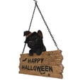 thumbnail image 2 of Ebros Black Cat With Witch Hat And Happy Halloween Sign Wall Ceiling Hanger, 2 of 6