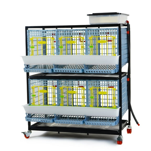 Hatching Time Chicken Cage - 2 Layer H: 15" (Power-Washable, Durable, ABS Plastic) | Cimuka