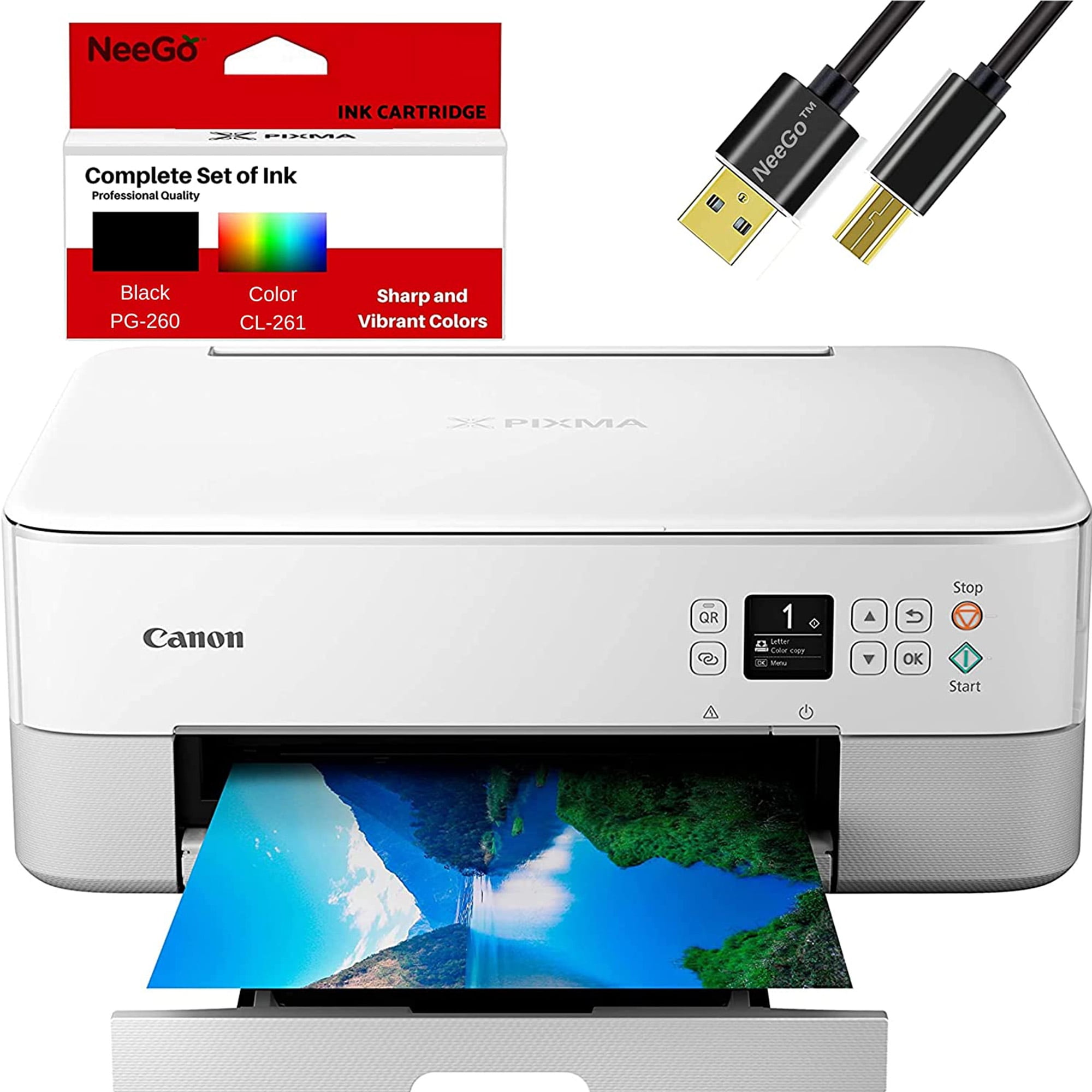 Neego Canon TS6420 Printer Scanner Copier All-in-One with Ink and 6 Ft Cable - Walmart.com